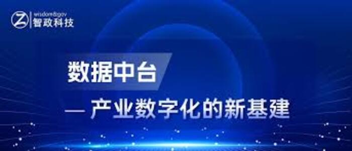 大数据应用解决方案服务